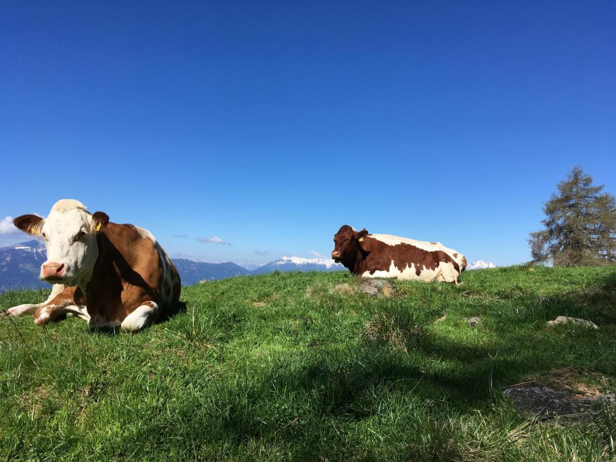 Appartement Zirbenduft Ferienhaus Fuenf Sinne Döbriach Buitenkant foto